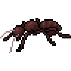 vector pixel art ant