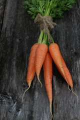 fresh crop of carrots tie beam