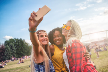 Selfie at summer music festival, group of friends having fun together