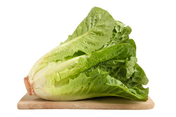 Green lettuce romaine