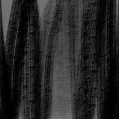 doodle abstract hand drawn pattern