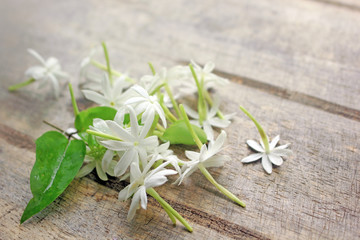 Fototapeta na wymiar Bright white jasmine forest on wooden floor.