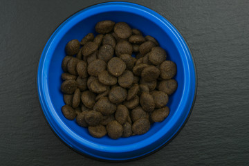 Dog food in a blue dog bowl