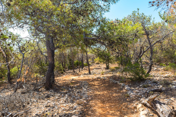 Hiking on Gavdos. Coastal trail to Kap Tripiti, the southernmost point of Europe
