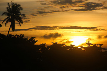 Lovely sunset with silhouettes of trees and palm tree standing out on orange sky background in Mabul Island, Borneo, Indonesia. Summer holidays concept, travel vacation destination