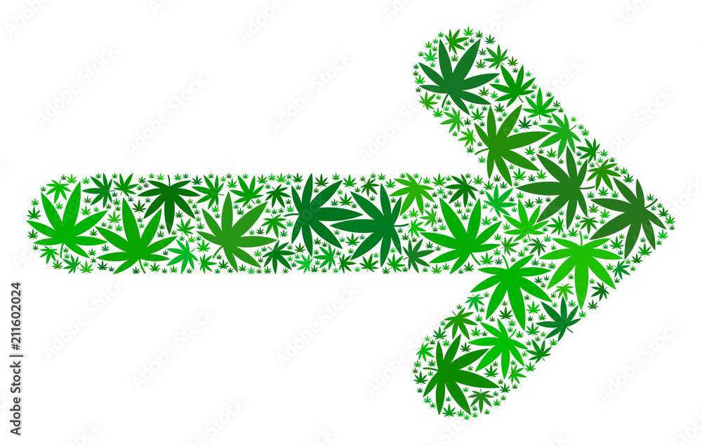 Aufkleber arrow direction composition of weed leaves in different sizes and green variations. vector flat cann