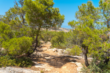Fototapeta premium Hiking on Gavdos. Coastal trail to Kap Tripiti, the southernmost point of Europe