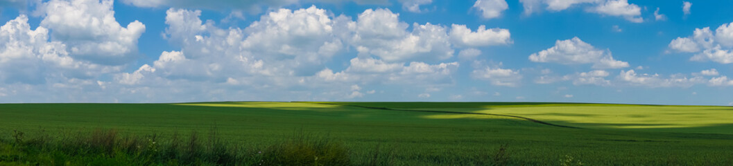 panorama beautiful view landscape field