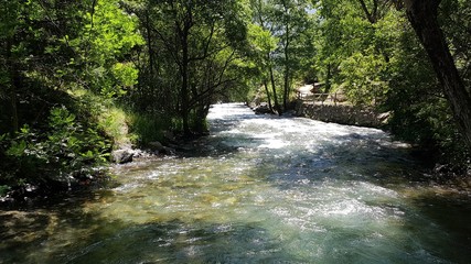 Obraz premium Peaceful cold river with clear water in a sunny day