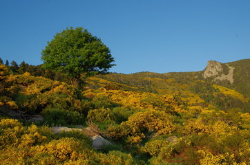 Obraz premium Paysage de Montagne des Pyrénées