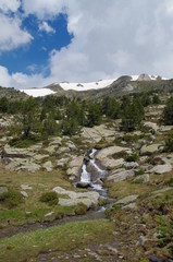 Ruisseau de montagne dans les pyrénées