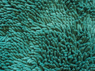 green carpet fiber hair