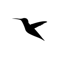 vector hummingbird silhouette