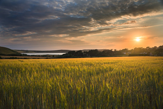 Sunset over Daymer Bay , Cornwall, UK