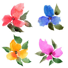 Watercolor floral set. Floral decorative elements. Color flowers for greeting card decor. Wedding inviitation floral elements.