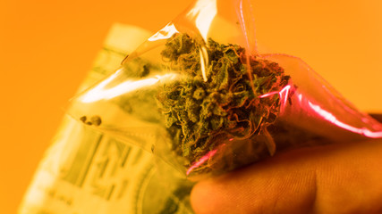 CBD and THC as Medicine. Physical Dependence on Cannabis
