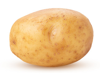 Young potatoes