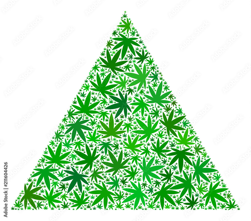 Poster filled triangle mosaic of hemp leaves in different sizes and green tints. vector flat hemp symbols a