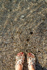 Feet under Clear and Shallow Sea Water on a Clean Beach