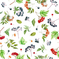 Watercolor viburnum, rowan and  elder branches seamless pattern, hand painted on a white background