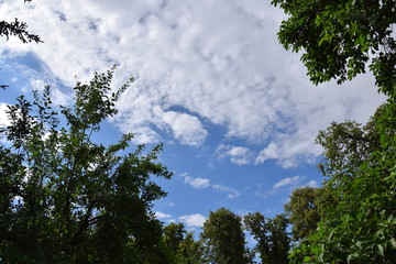 nature with a cloudy sky