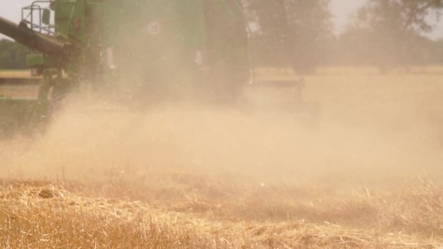 Combine harvester for harvesting wheat. Slow motion