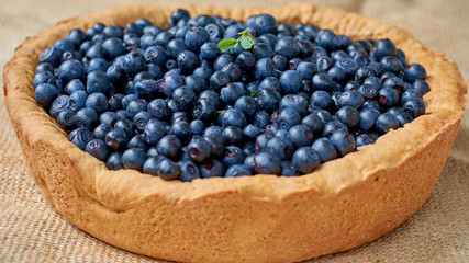 Homemade blueberry pie ready to eat. Summer tart with fresh berries. Close up view