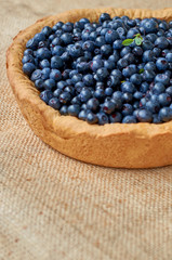 Homemade blueberry pie ready to eat with copy space. Summer tart with fresh berries. Close up view