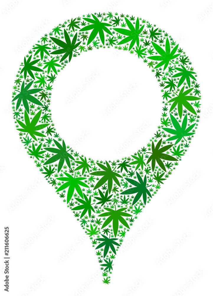 Poster map marker composition of marijuana leaves in variable sizes and green shades. vector flat hemp leav
