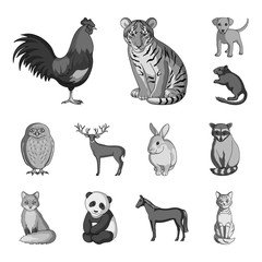 Realistic animals monochrome icons in set collection for design. Wild and domestic animals vector symbol stock web illustration. © pandavector