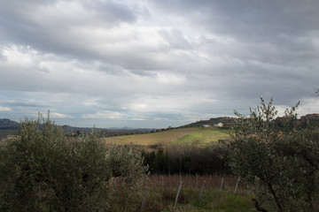 marchigian hills 11