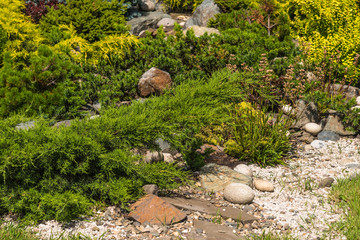 Element of landscape design - rockeries with mountain plants and stones