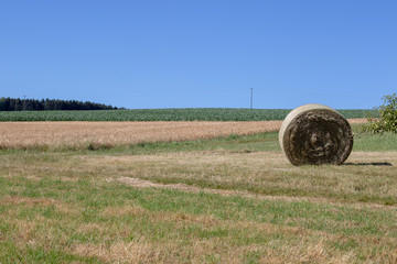 Single big dry hay role lying on a cutted meadow in summer
