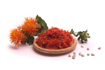 Carthamus tinctorius on white