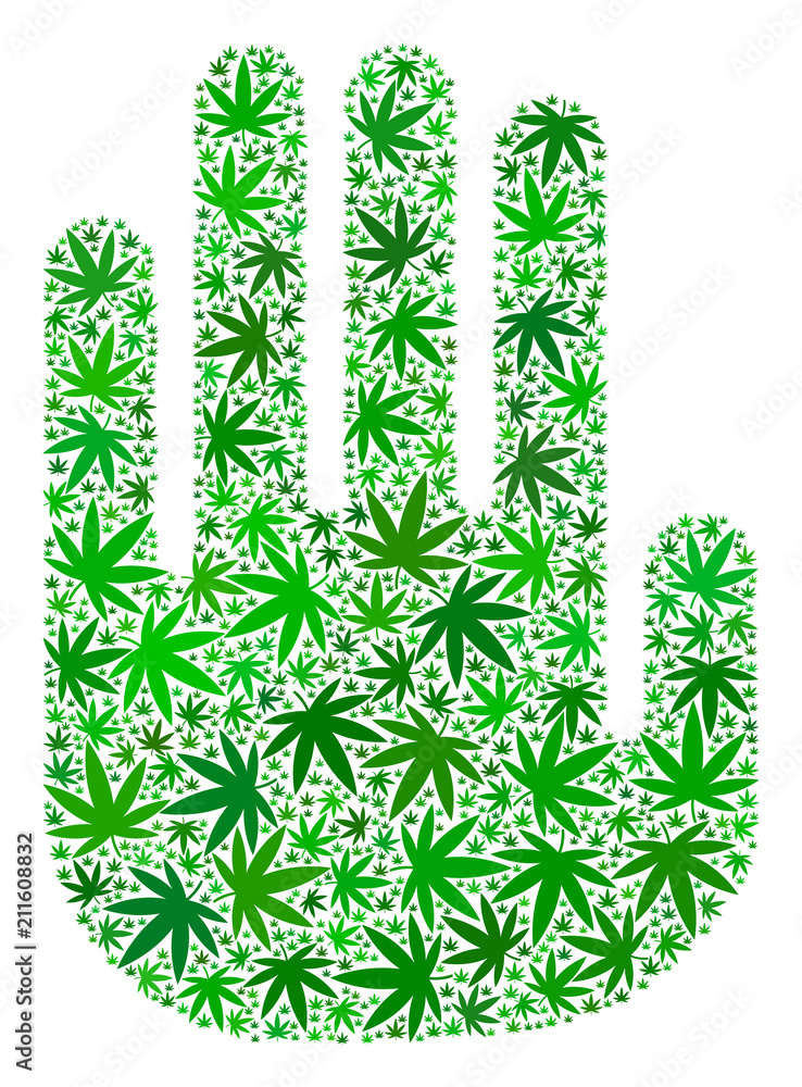 Poster stop hand composition of marijuana leaves in variable sizes and green variations. vector flat mariju