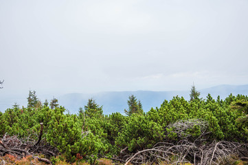 Mountain panorama