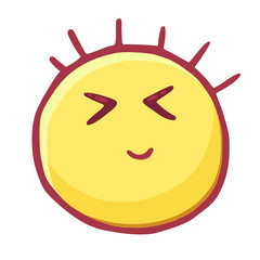 Colored emoticons icon, smiley eyes screwed up, smiling, embarrassment emoji