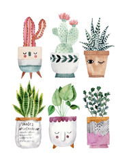 Cute pots for plants. Hand drawn watercolor illustrations - 211610299
