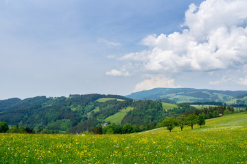 Germany, Endless nature landscape in black forest holiday region