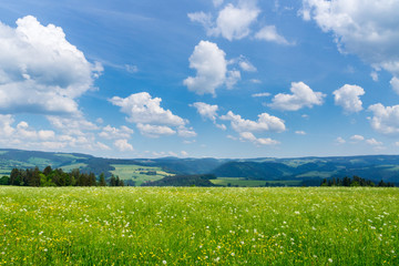 Germany, Hills and valleys of black forest hiking region on Lindenberg