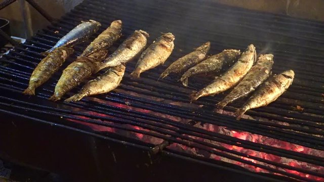 Grilled sardines on the fire