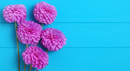  Flowers on blue painted wooden planks.