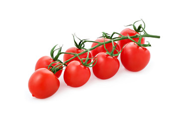 fresh tomatoes on a branch isolated on a white background