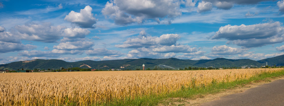 Panorama Edinger Felder mit Wassertum