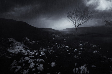 dark rainy weather landscape with tree on hill