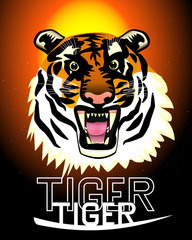 Illustration of an aggressive tiger muzzle at sunset. Vector.