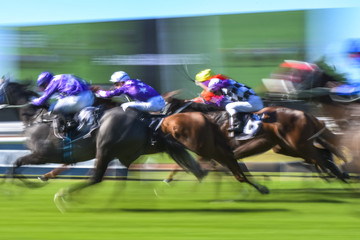 Motion blurred horse racing group image