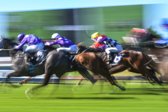 Motion Blurred Horse Racing Group Image