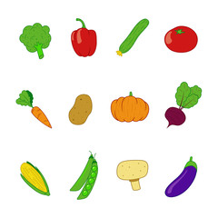 Vegetable illustrations set