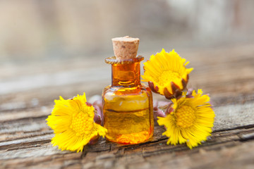 foalfoot essential oil in  beautiful bottle on table